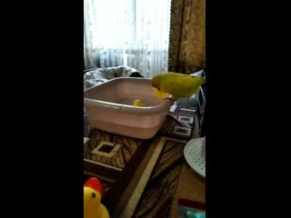 Vid 20201201 105144 mp4