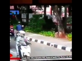 Долгожданный нарушитель (vhs video)