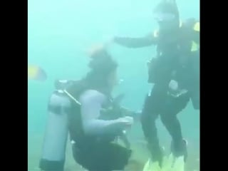 Funny divers in