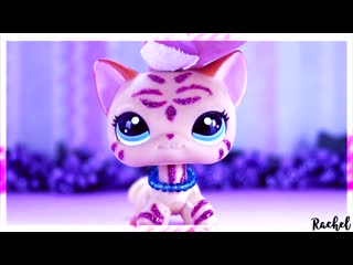 Lps моя коллекция стоячек~my lps shorthair cats collection~rachel~