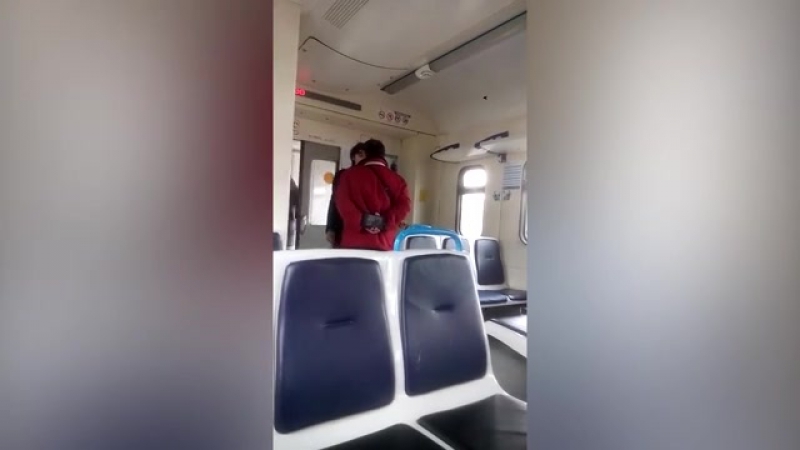 Контролеры избили мальчика и забрали у него планшет в подмосковной электричке (видео)
