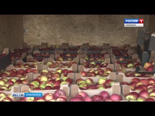 Смоленские таможенники разгадали «польскую» хитрость