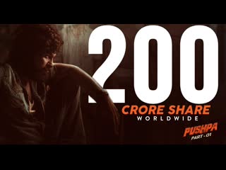 Pushpa hits 200cr share