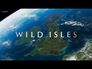 Wild isles s00e01 saving our wild isles