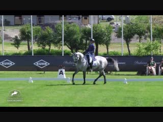 Festiwal jeździecki baborówko 2018 eventing dressage cic2* selivanenko/etokwik