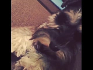 One ok rock ryota's instagram 2015 6 8 151223