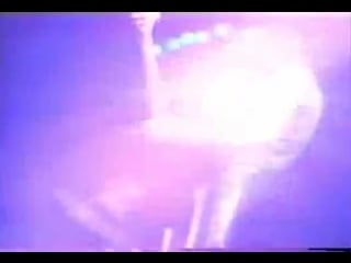 Ted nugent and aerosmith live