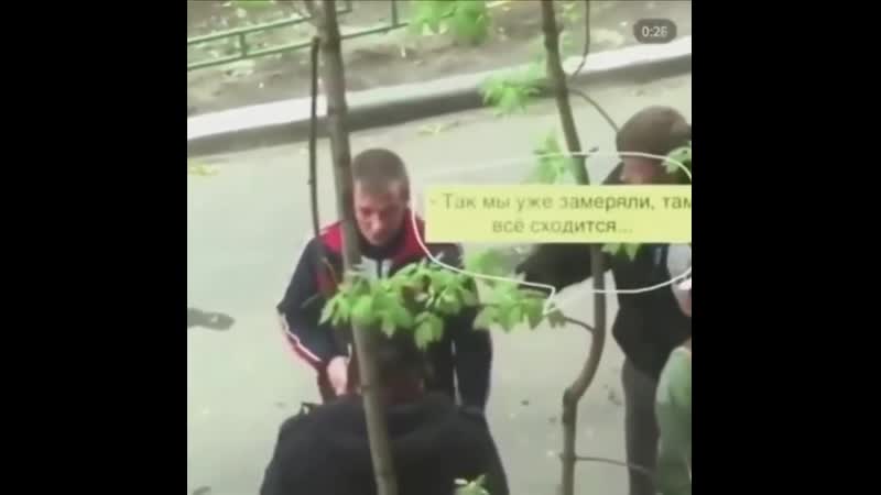 Беседа интеллектуалов