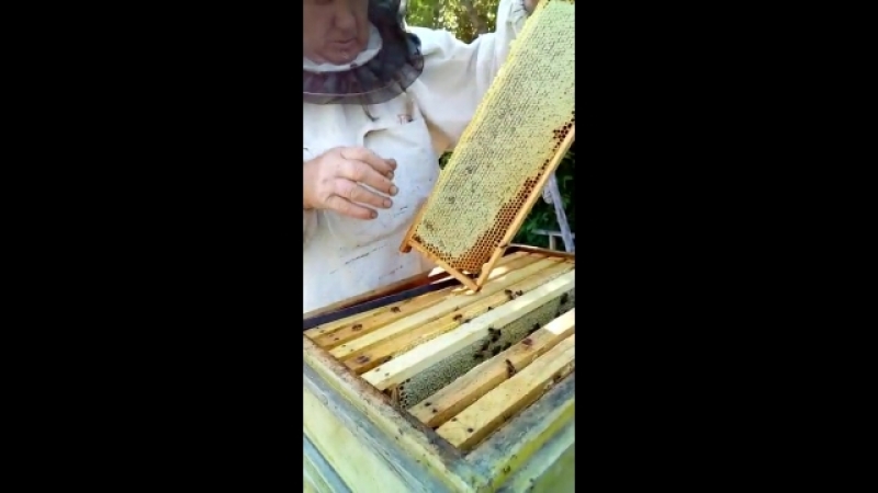 Бережно и нежно 02