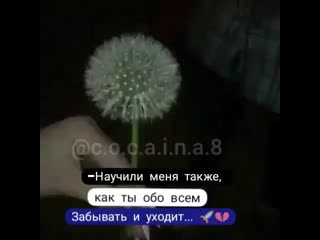 Vid 38840309 190419 977 mp4 (480p) mp4