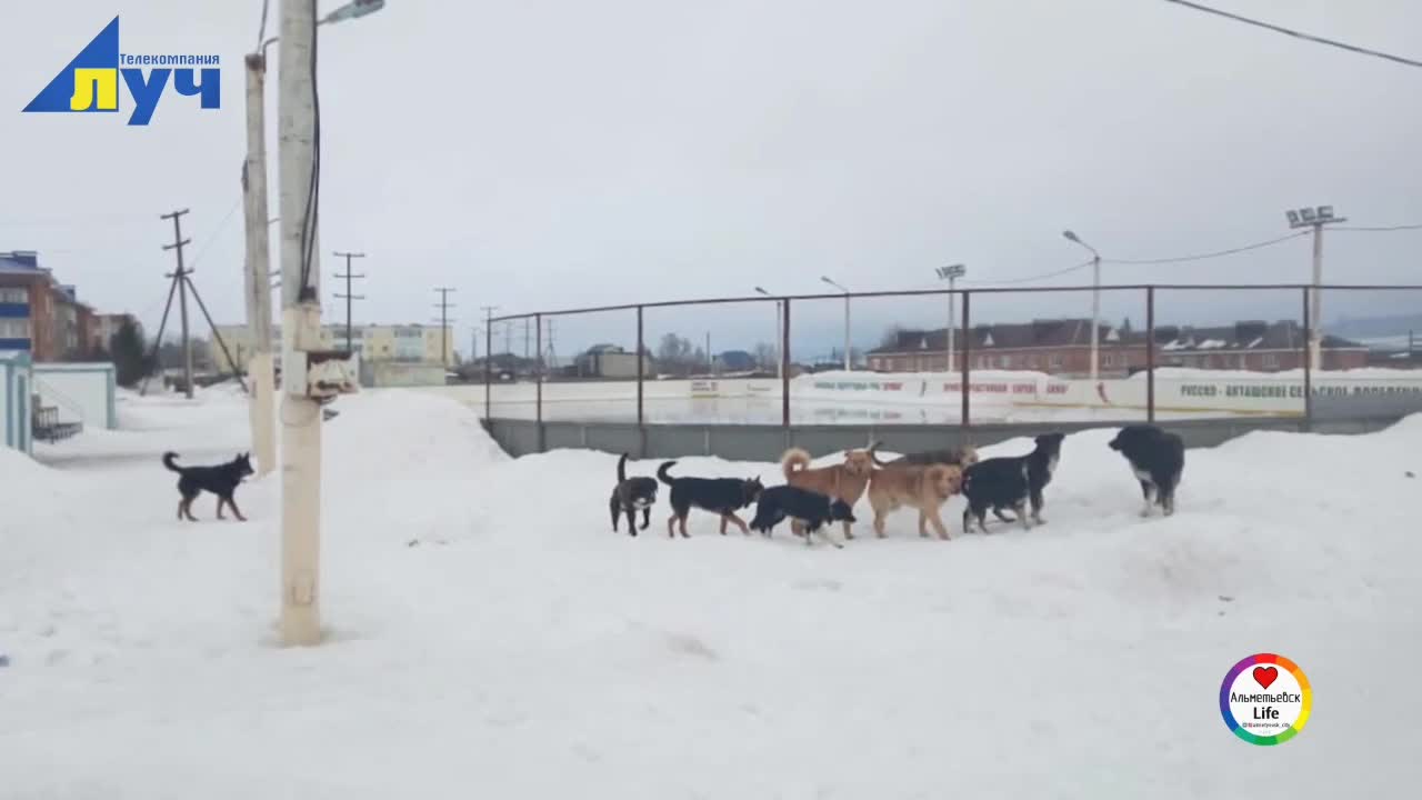 Молодые атакуют жителей села русский акташ
