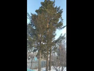 Vid 20201128 110538 mp4