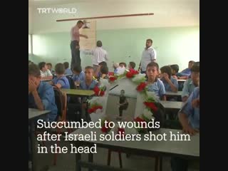 Trt world a 4 year old boy, a disabled man and a nurse, some of over 220 palestinians killed by israel in gaza since march 30