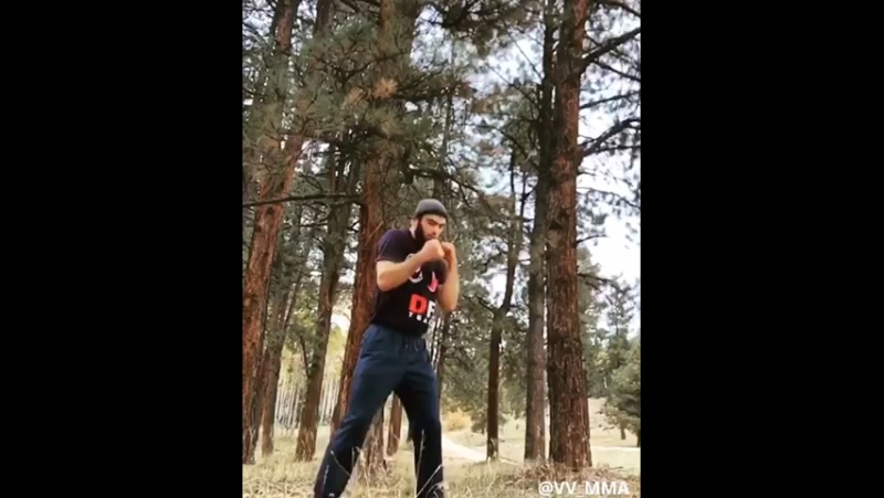 Вагаб в штатах