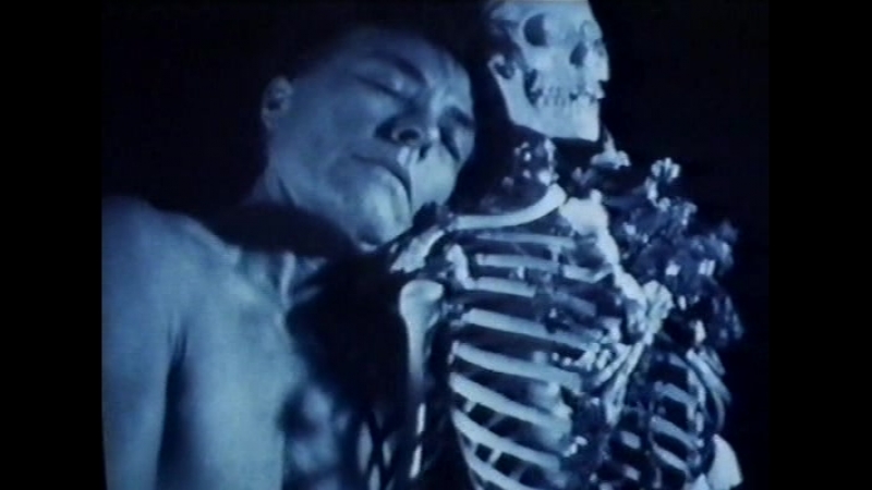 Vital signs (1991) dir barbara hammer