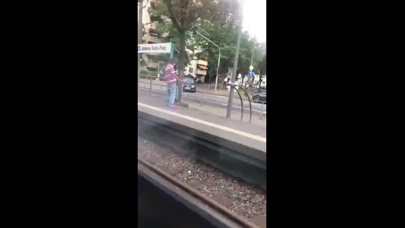 Вроде цивилизованные европейцы, а не ордынская дикая