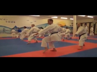 Lucio maurino teaching shotokan ryu belgium seminar 2013