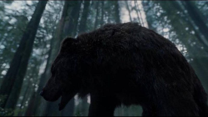 Выживший (the revenant)