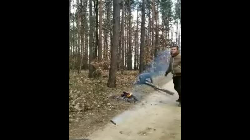 Можно пересматривать вечно