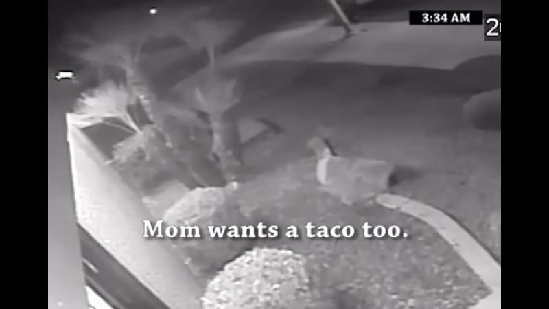 Ограбление тако магазина, после этого магазин выпустил такую рекламу