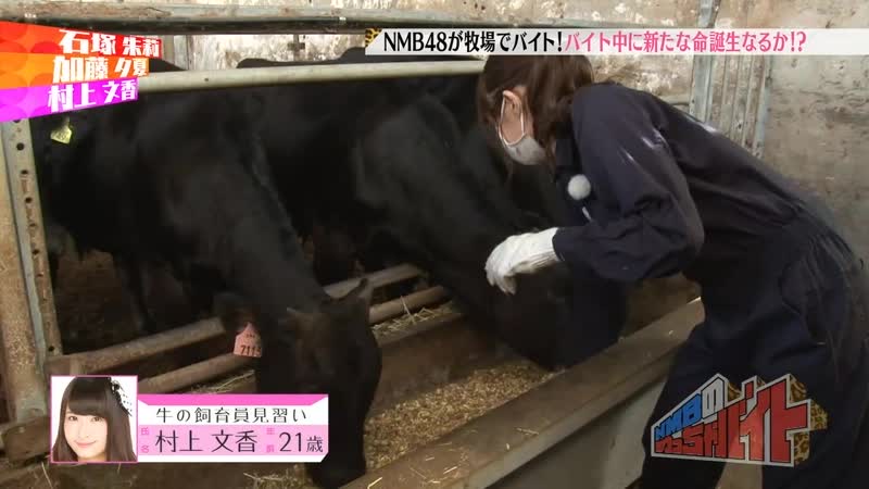 (nmb48) nmb no meccha baito ep11 140923