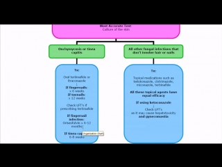 Dermatology fungal skin infections lesson