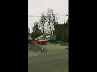 Red cruze bpan perm family