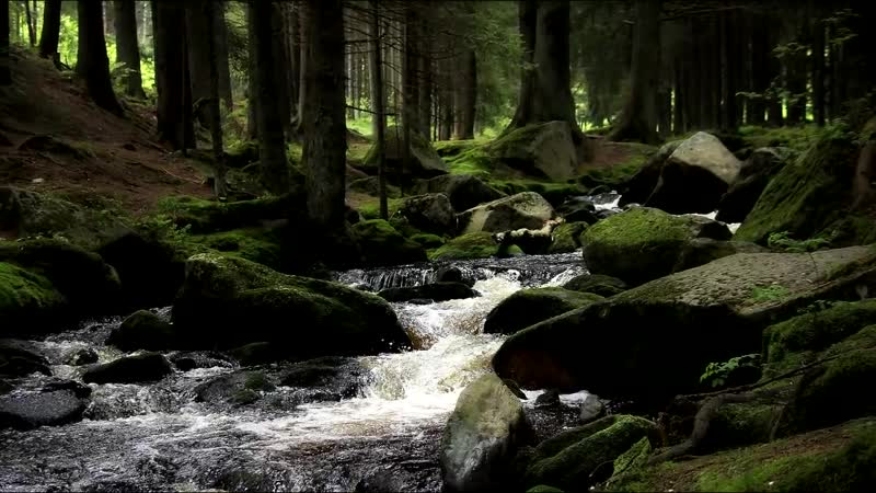 Яруха славянская агма процветания