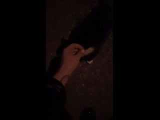 Video 20201206 181057 mp4