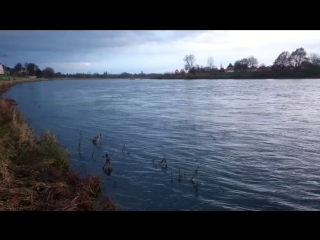 Дрезден саксония германия эльба dresden sachsen deutschland elbe tolkewitz