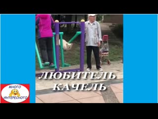 Любитель качель