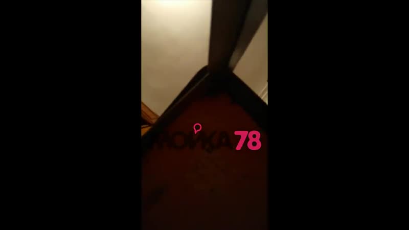 Появилось видео, на котором профессор расчленитель соколов снимает убитую аспирантку ещенко