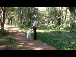 Вагни для туркмен кала, поведение на улице