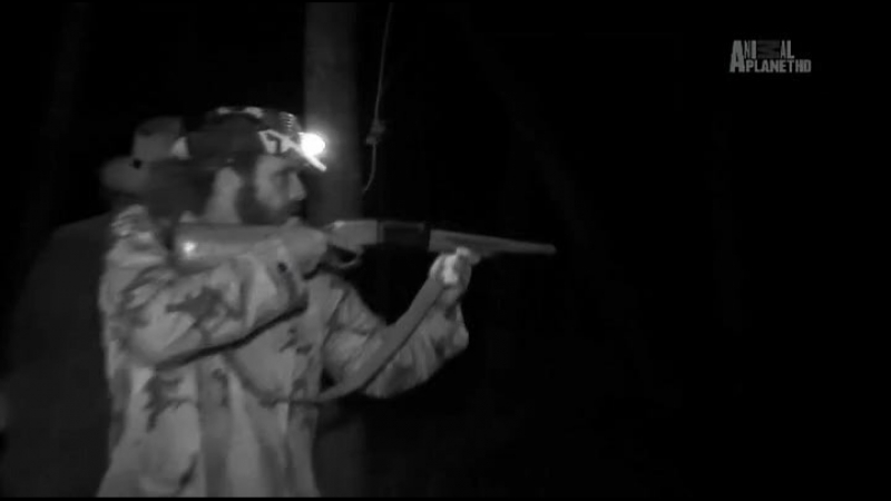 Горные монстры яху из округа николас