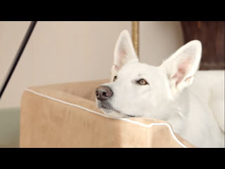 Рекламный ролик aveeno (2015)