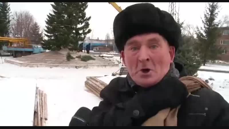 Мнение жителя бийска о городской ёлочке