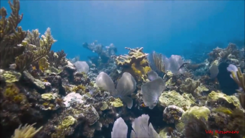 Filthy saturday feat vien chest in mine 2k17