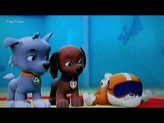 Paw patrol 《kasihan fuzzy》 [bahasa indonesia]