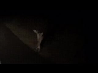 来自секс с роботами и мёртвыми домашними животными的视频