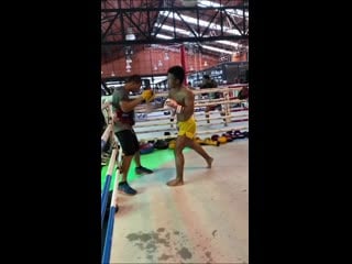 Rodtang jitmuangnon smashes pads