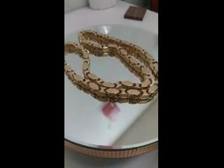 V 20190313 120947 vhdr on mp4