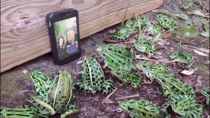 Ручей крейга | cartoon network