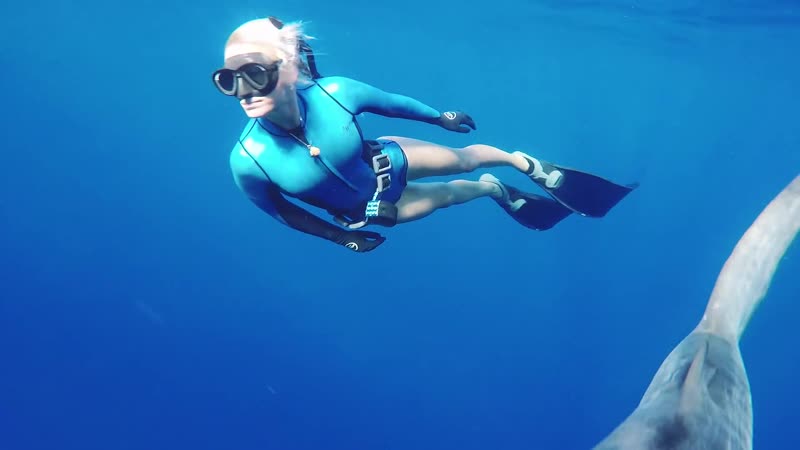 Ocean porn video – Freediving / #paradise #girls #ocean #diving #shark #beauty #nature