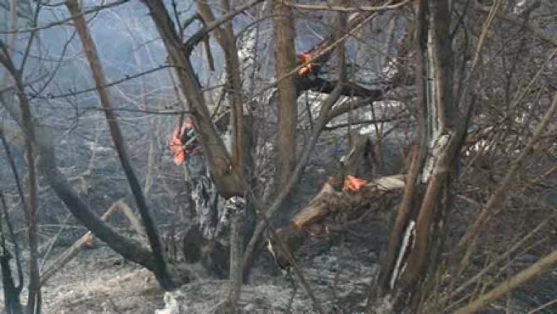 Беспечность пензенских дачников привела к нескольким пожарам