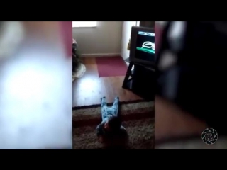 Подборка приколов 2016 март #22 смешное видео best fail funny video 2016 ksi tv