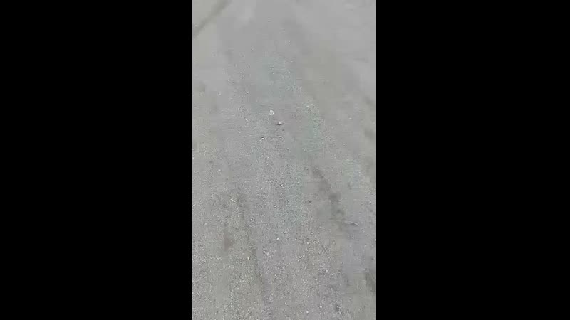 Браконьеры