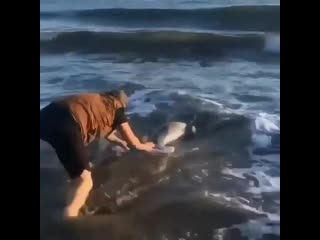 Biological beauty 20200923 044524 0