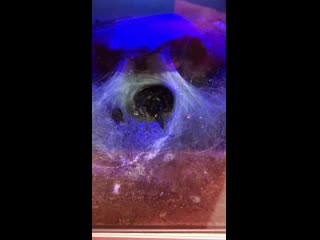 Chris alderton instagram stories 07/09/19