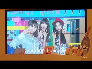 [bts] sm rookies girls (koeun, hina, lami) gee