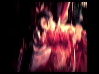 ⊱ husky and his white cat shizun vines